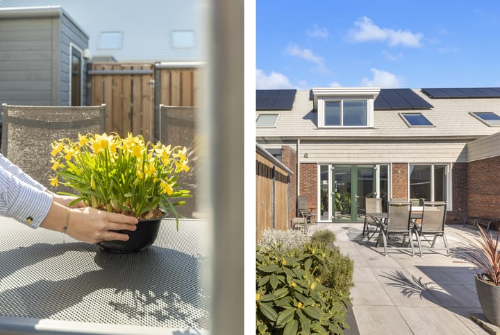 Photo 21 of Koolzaad 33