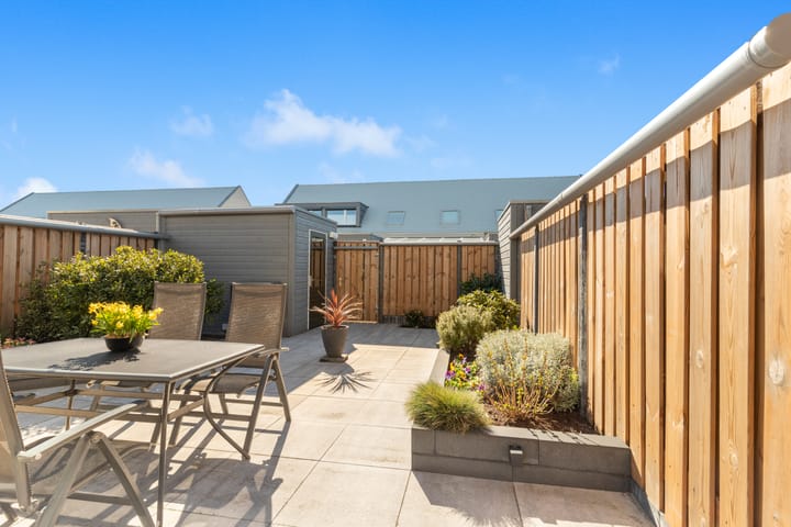 Photo 23 of Koolzaad 33