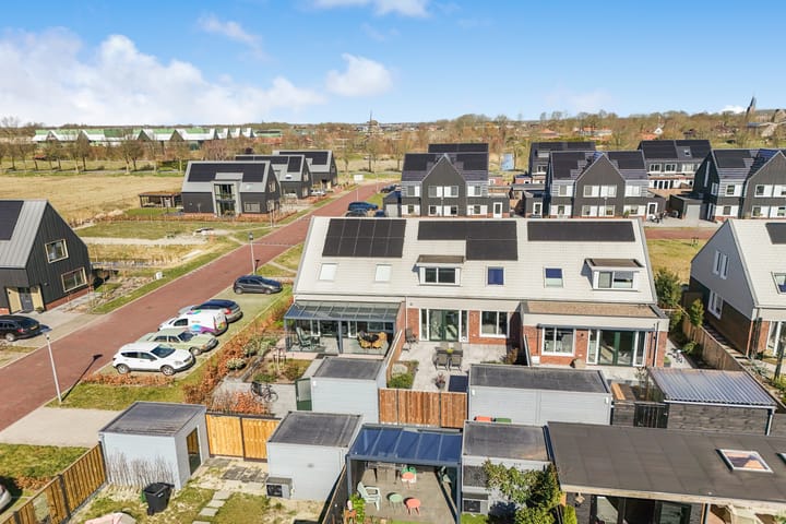 Photo 25 of Koolzaad 33