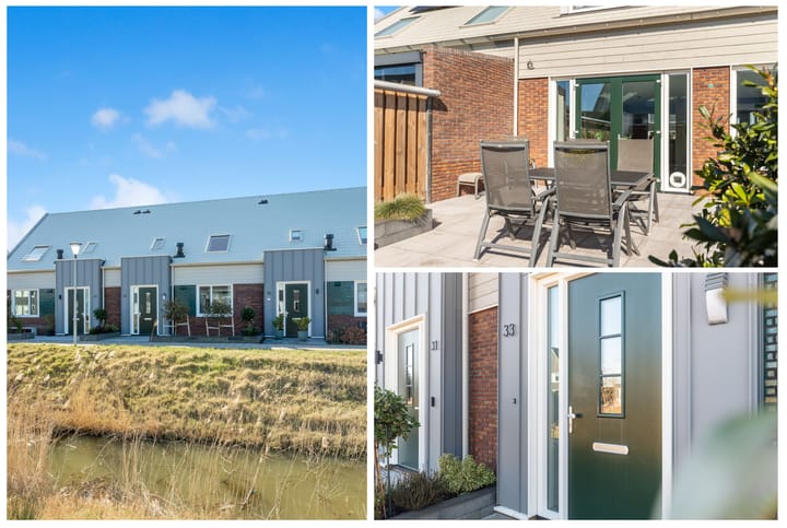 Photo 2 of Koolzaad 33