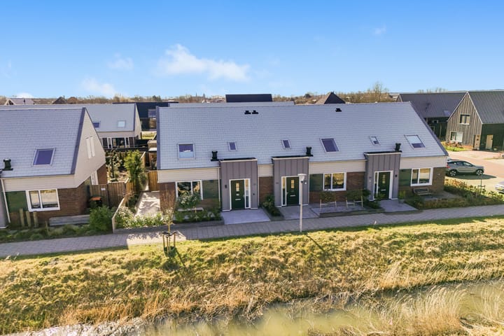 Photo 26 of Koolzaad 33