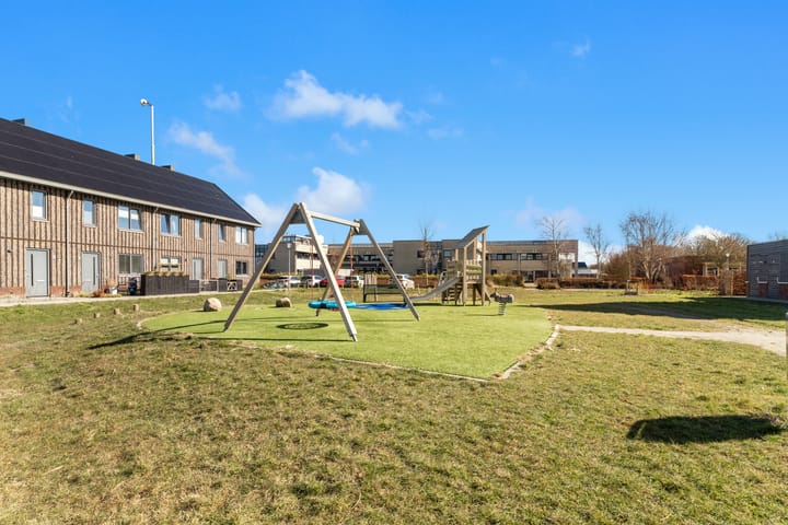 Photo 27 of Koolzaad 33