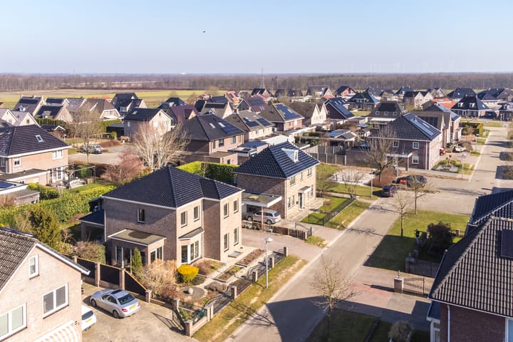 Foto 4 van Heideblauwtje 5