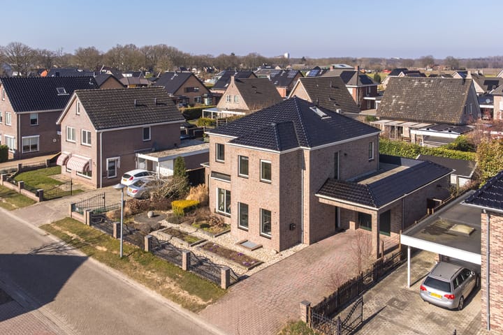 Foto 5 van Heideblauwtje 5