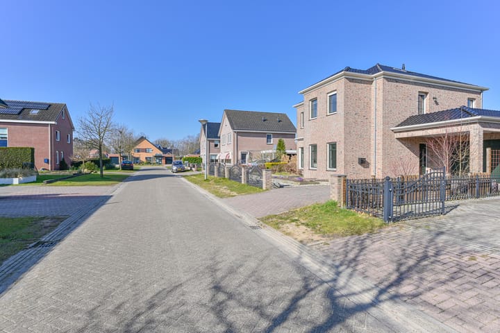 Foto 6 van Heideblauwtje 5