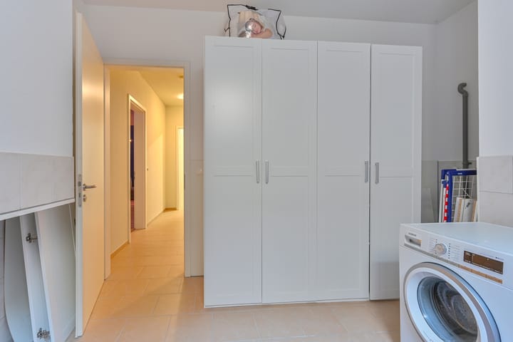 Foto 50 van Heideblauwtje 5