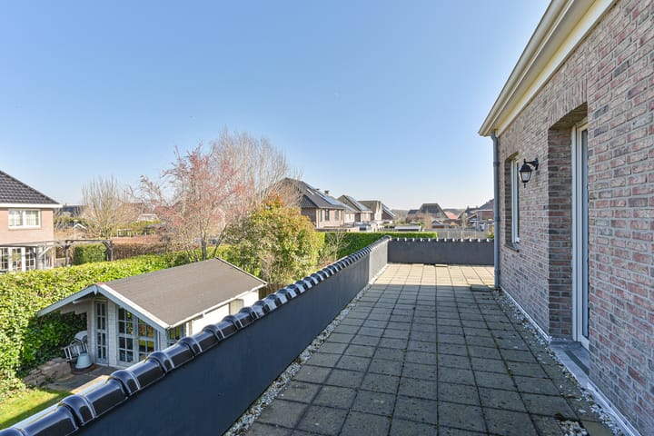 Foto 72 van Heideblauwtje 5