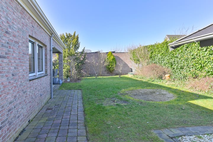 Foto 77 van Heideblauwtje 5