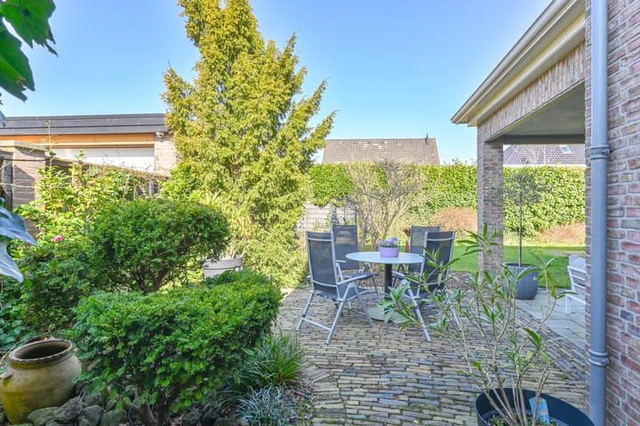 Foto 85 van Heideblauwtje 5