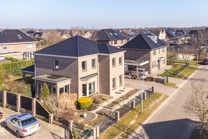 Foto 87 van Heideblauwtje 5