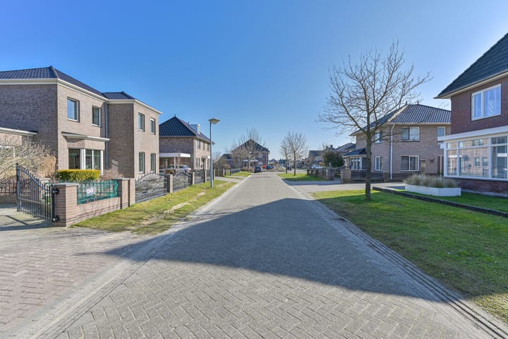 Foto 88 van Heideblauwtje 5