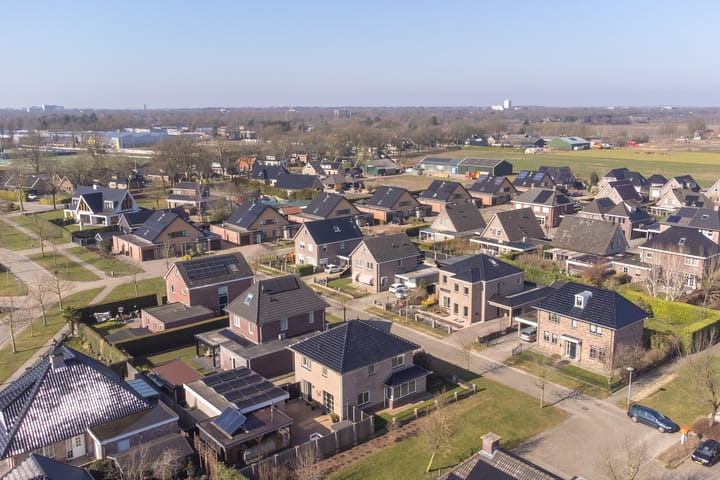 Foto 89 van Heideblauwtje 5