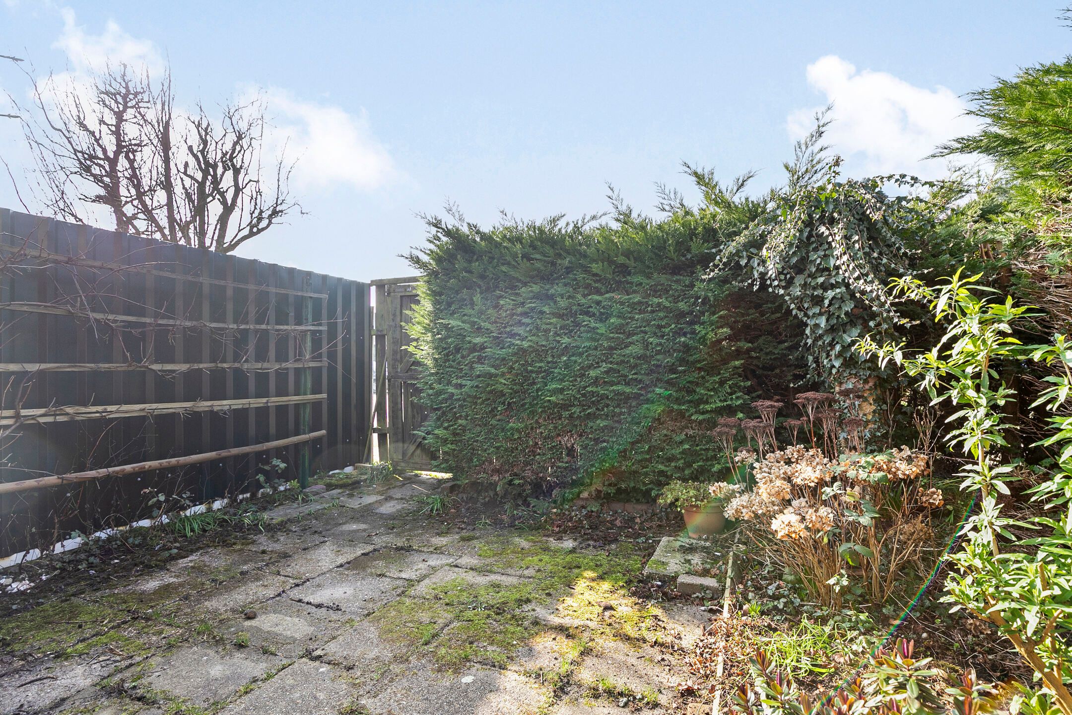 Foto 33 van Verlaatsweg 10