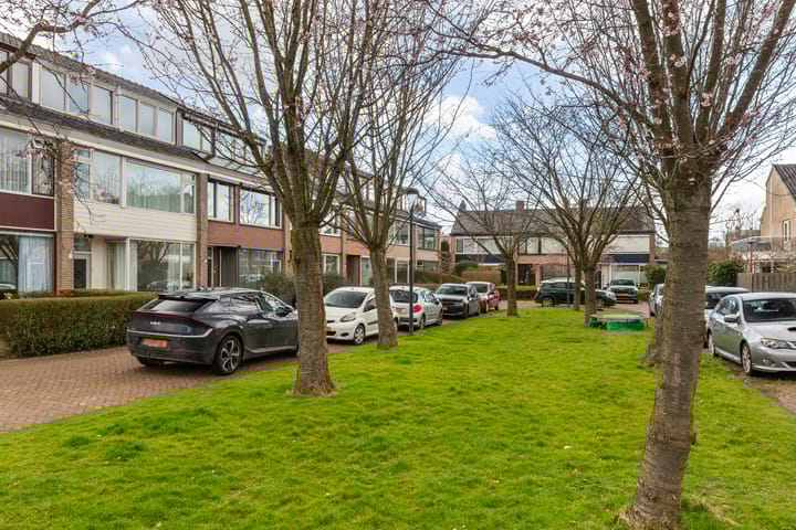 Foto 6 van Albert Cuypplein 5