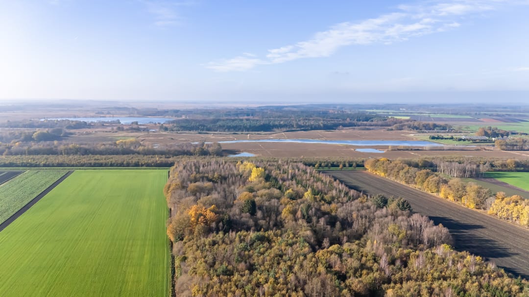 Foto 7 van Norgervaart 16