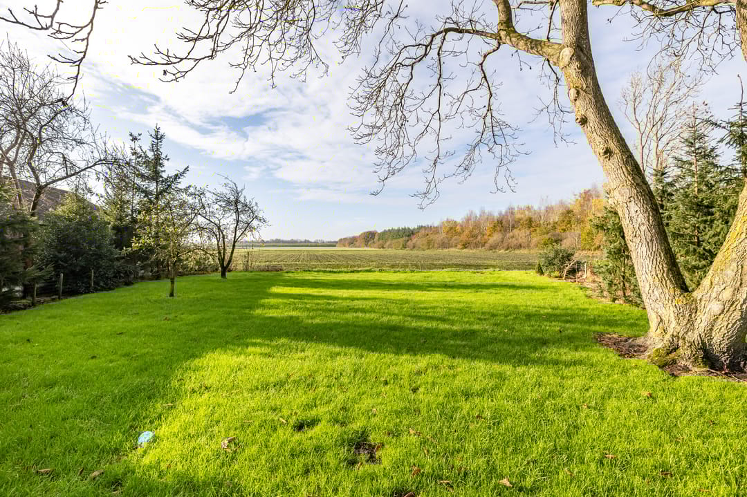 Foto 61 van Norgervaart 16