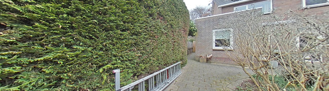 Achtertuin