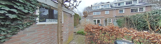 Achtertuin