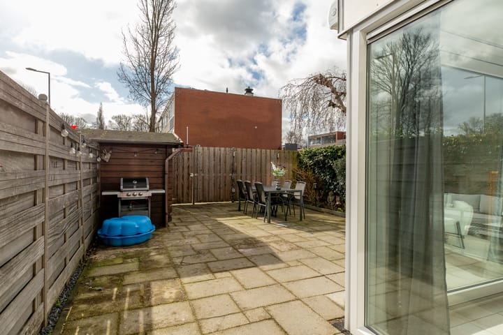 Foto 30 van Driedistel 30