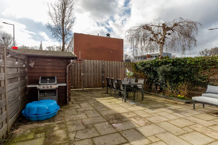 Foto 31 van Driedistel 30