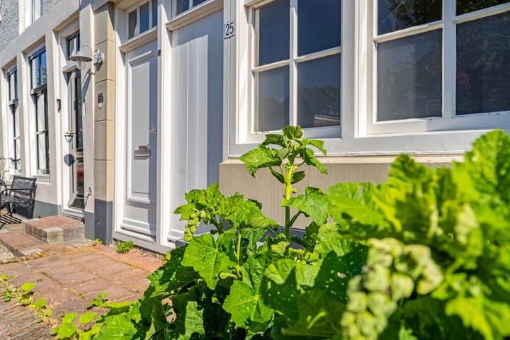 Foto 7 van Schritsen 25