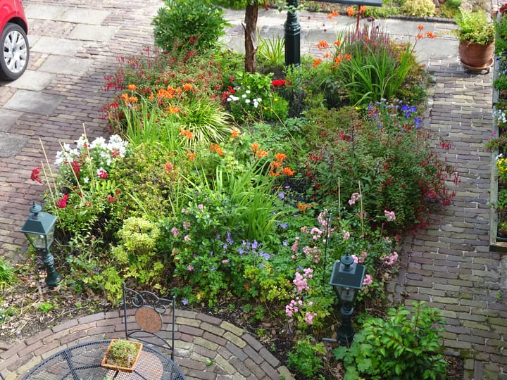 Foto 5 van Eikenhorst 10