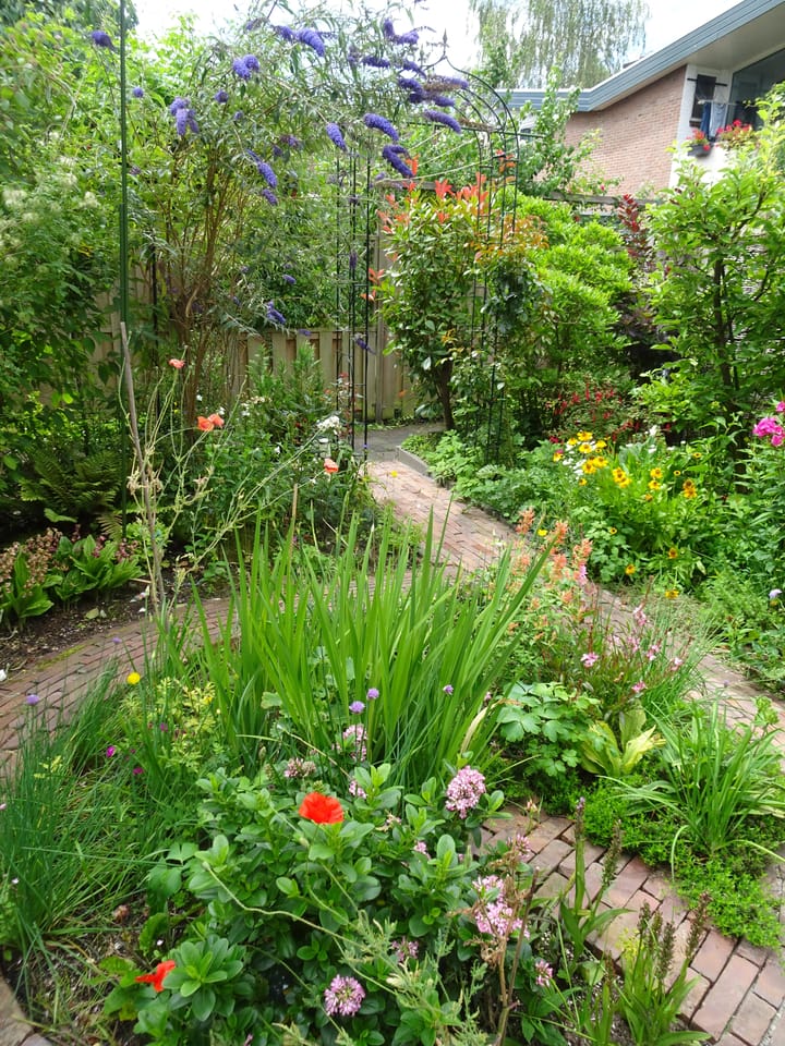 Foto 42 van Eikenhorst 10