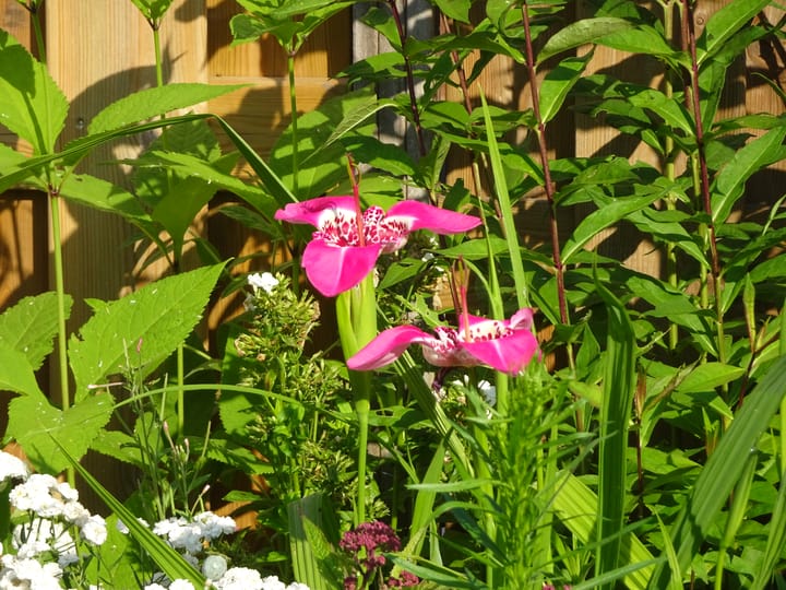 Foto 45 van Eikenhorst 10