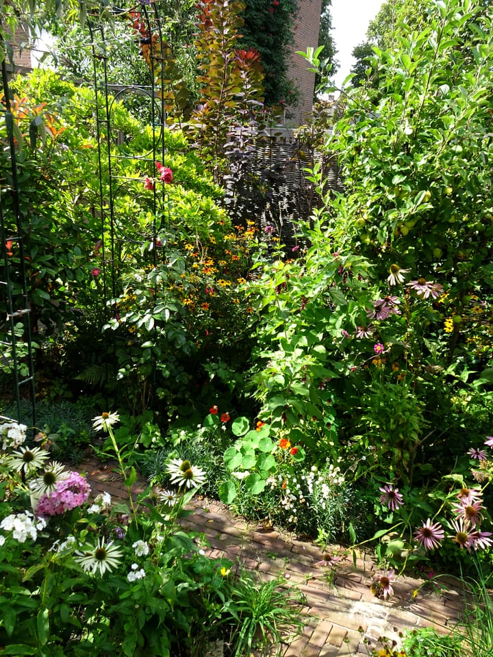 Foto 48 van Eikenhorst 10