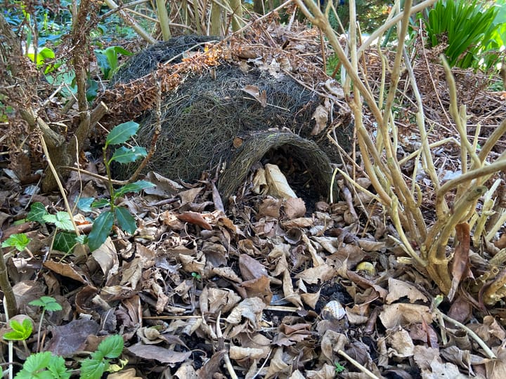 Foto 49 van Eikenhorst 10