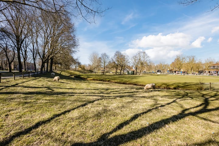 Foto 45 van Hyacinthstraat 16