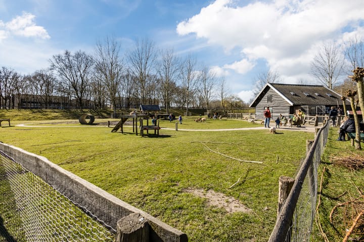 Foto 47 van Hyacinthstraat 16