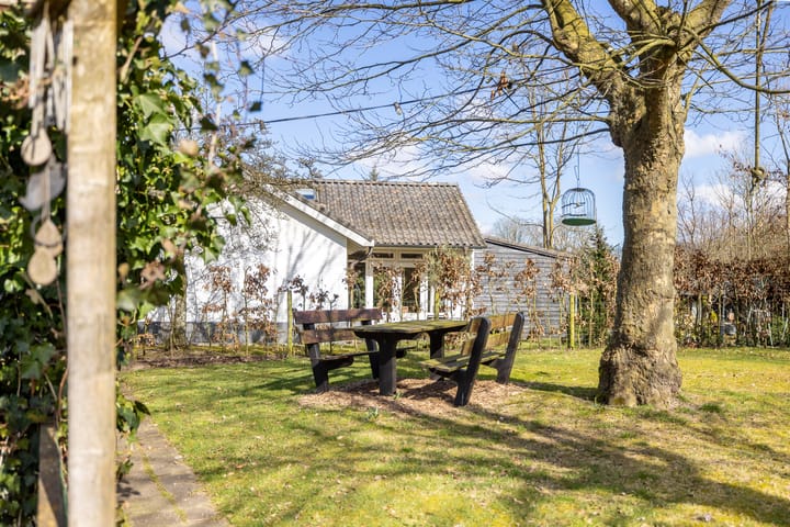 Foto 13 van Wrangelaan 19-E