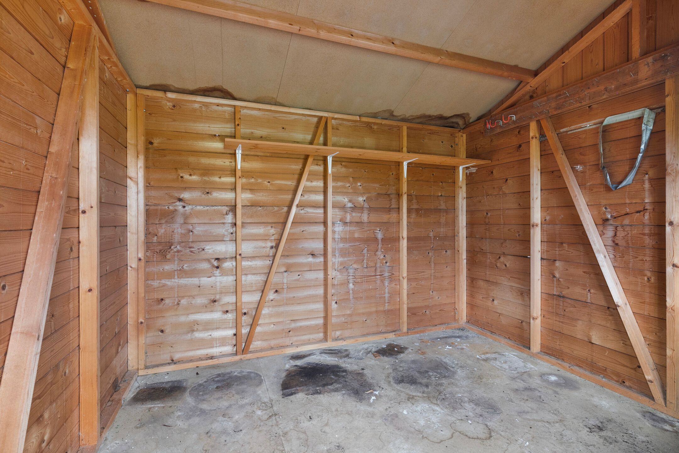 Foto 30 van De Bredase Hunt 30