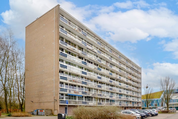 Bekijk foto van Spreeuwenstraat 167