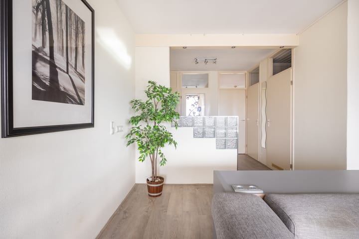 Photo 13 of Spreeuwenstraat 167