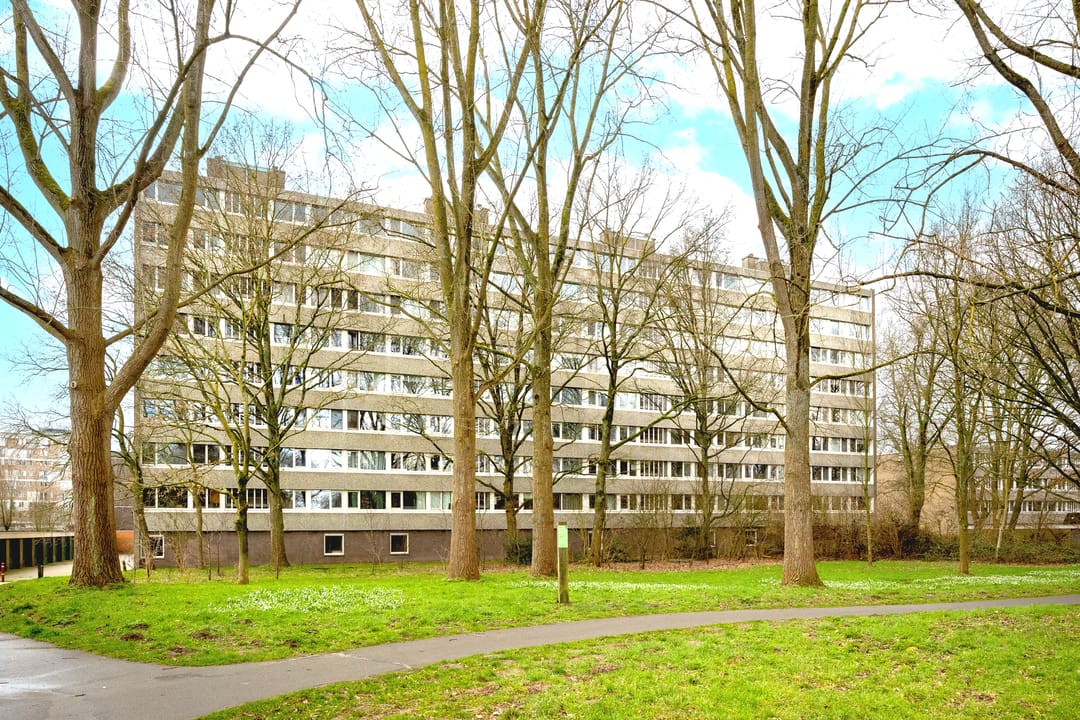 Foto 26 van Spreeuwenstraat 167