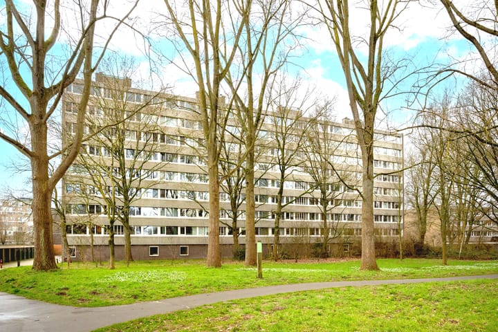 Photo 26 of Spreeuwenstraat 167