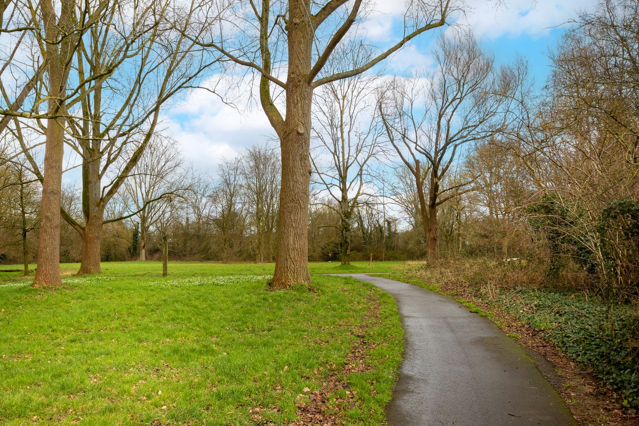 Foto 27 van Spreeuwenstraat 167