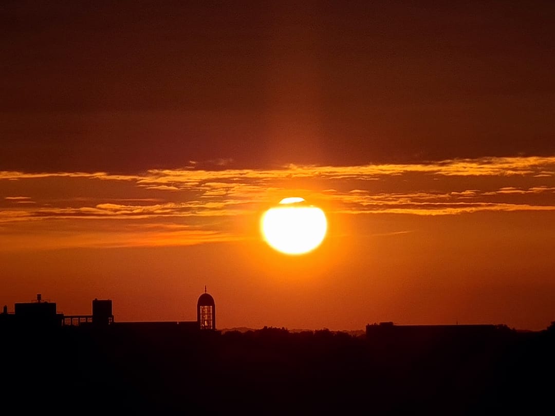 Foto 31 van Spreeuwenstraat 167