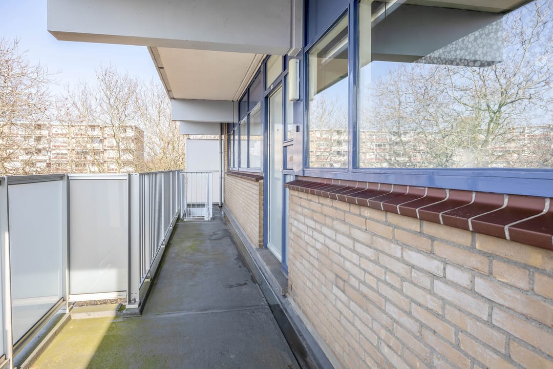 Photo 8 of Kadoelerbos 67