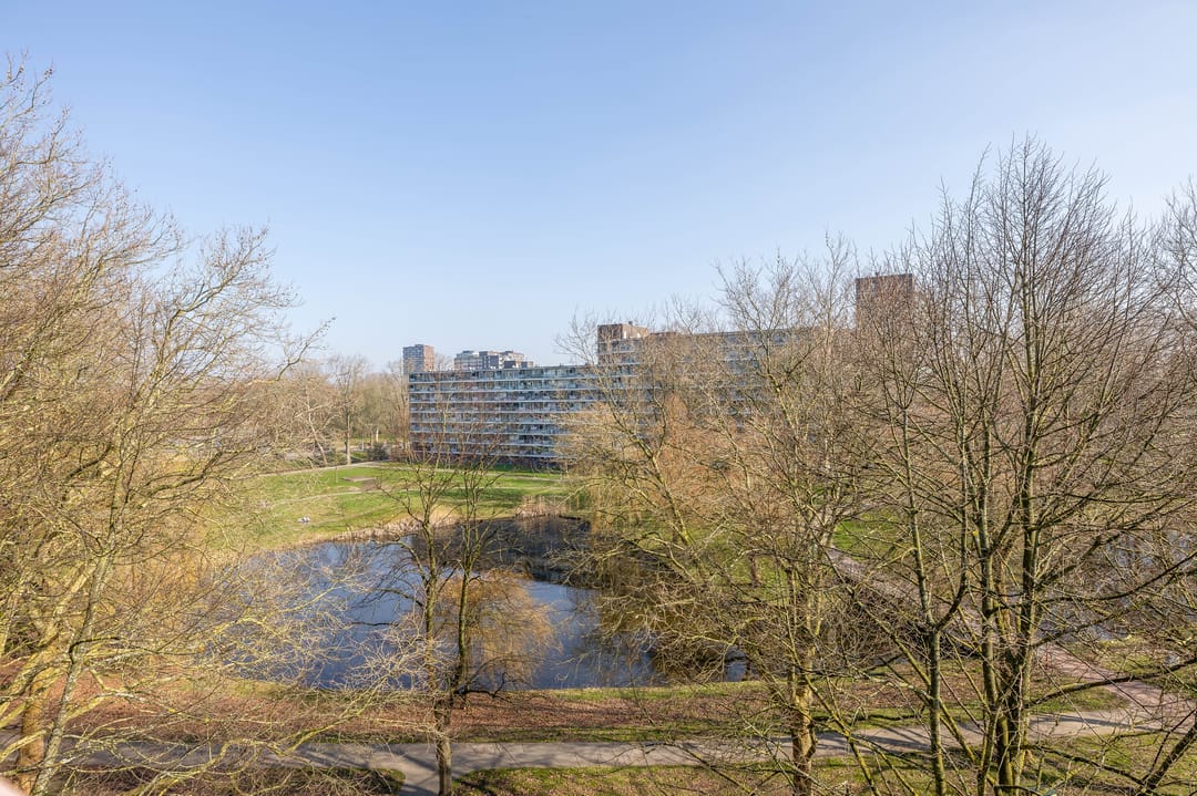 Photo 28 of Kadoelerbos 67