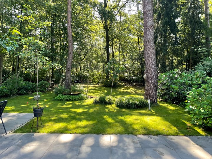 Foto 2 van Westelbeersedijk 6-R100