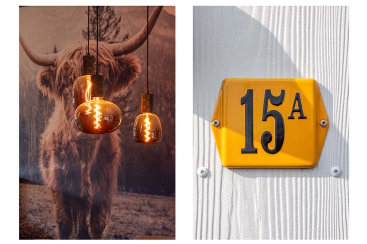 Foto 40 van Floris V Dreef 15-A