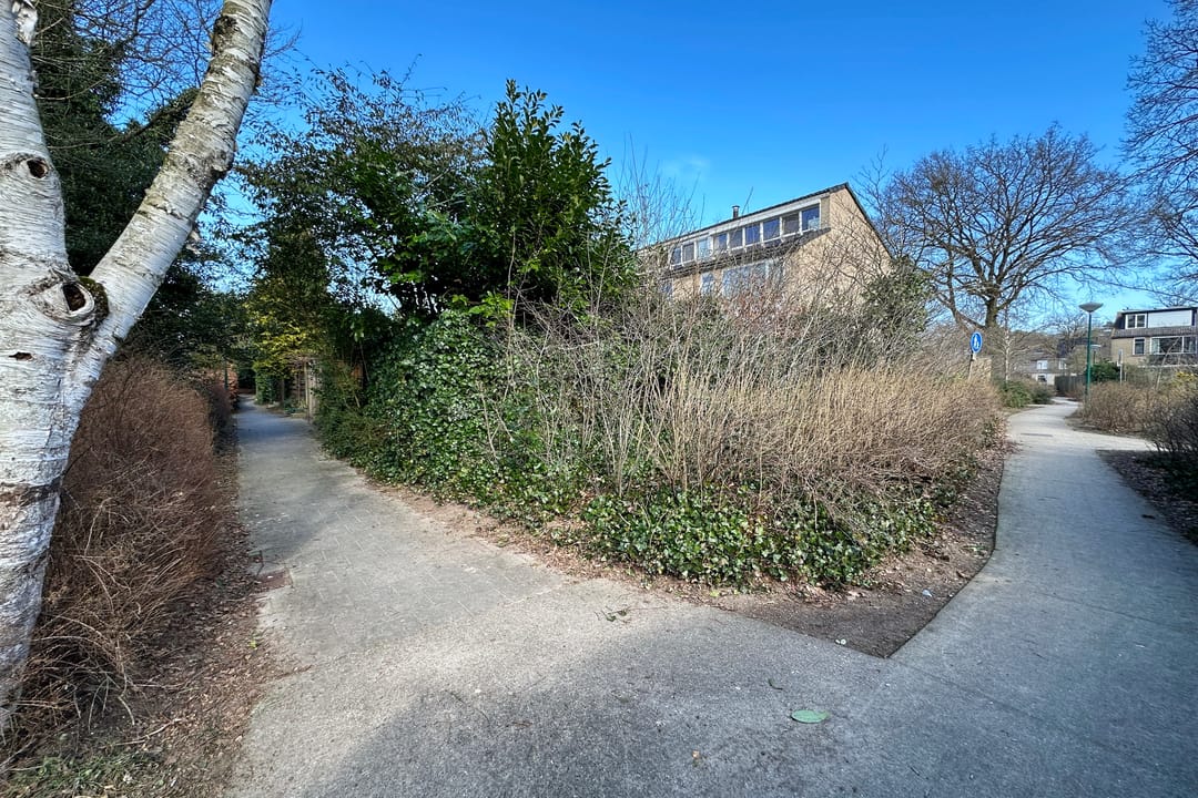 Foto 28 van Morane 14