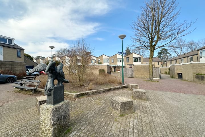 Foto 30 van Morane 14