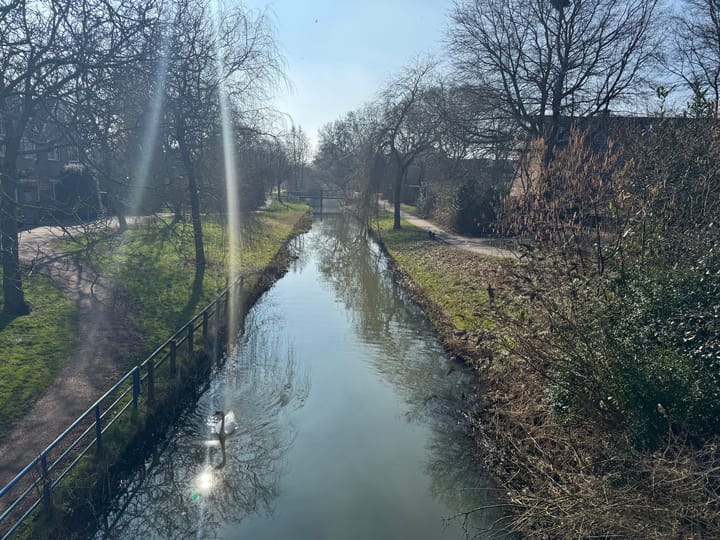 Foto 10 van Schipbeek 3