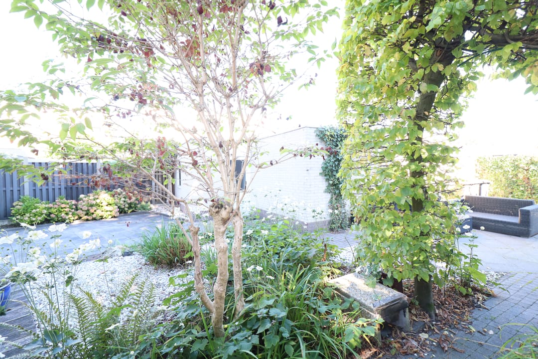 Foto 43 van Jacob Catslaan 65