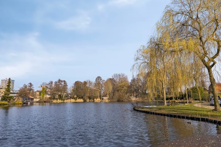 Foto 34 van Waalsingel 11