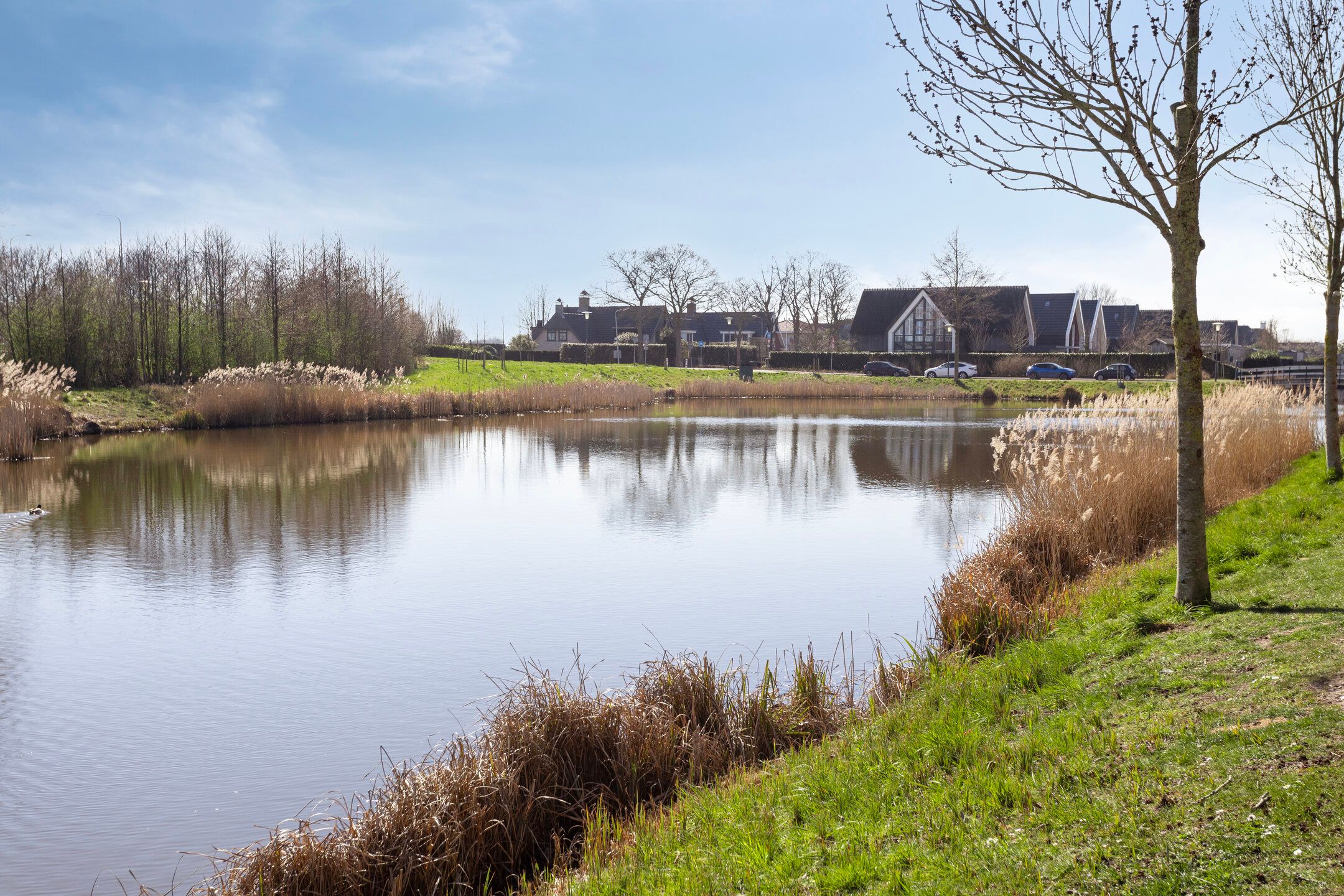 Foto 27 van Zeeltstraat 75